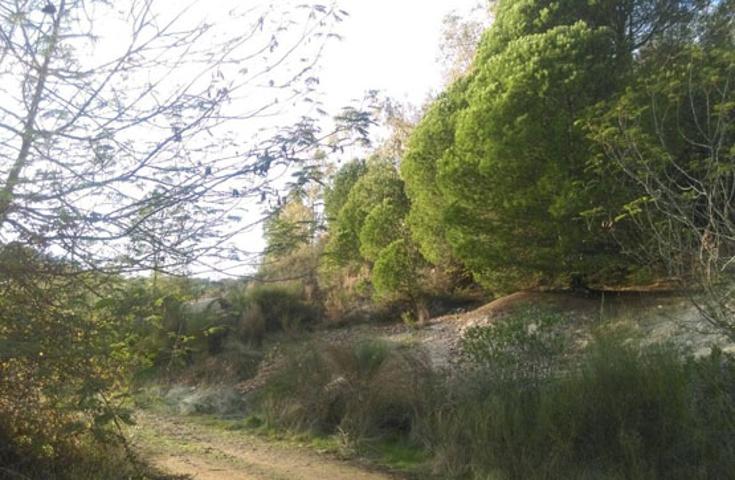 TERRENO EN VENTA EN POLIGONO ALTO MESA, MINAS DE RIO TINTO. photo 0