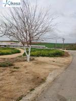 Venta de Suelo Urbanizable Residencial en CAMINO DE LOS MOLINOS Nº S-N Burguillos (Sevilla) photo 0