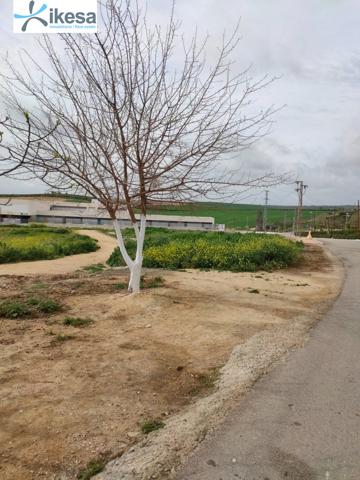 Venta de Suelo Urbanizable Residencial en Burguillos (Sevilla) photo 0