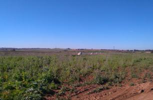 Terreno Urbanizable En venta en La Paz - Montecarmelo, Alcala De Guadaira photo 0