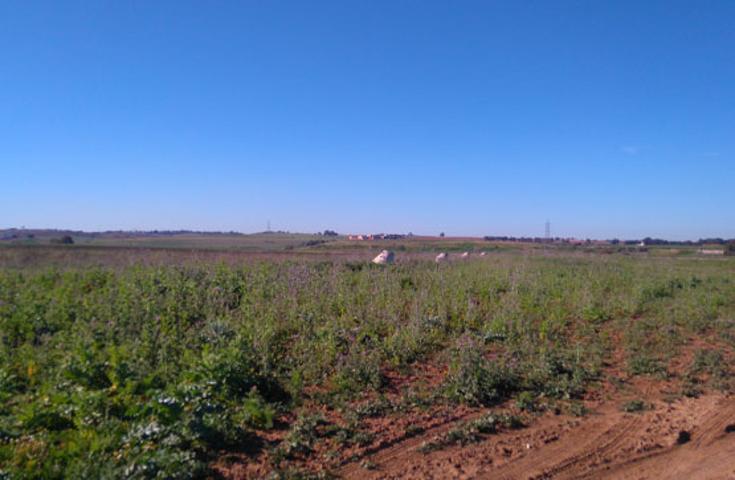 Terreno Urbanizable En venta en La Paz - Montecarmelo, Alcala De Guadaira photo 0