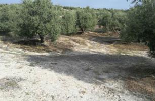 Terreno rustico de 74.567 metros en Torredelcampo photo 0