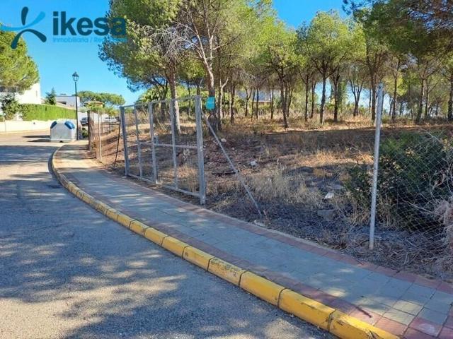 Terreno en venta en Acebuche, Dehesa photo 0