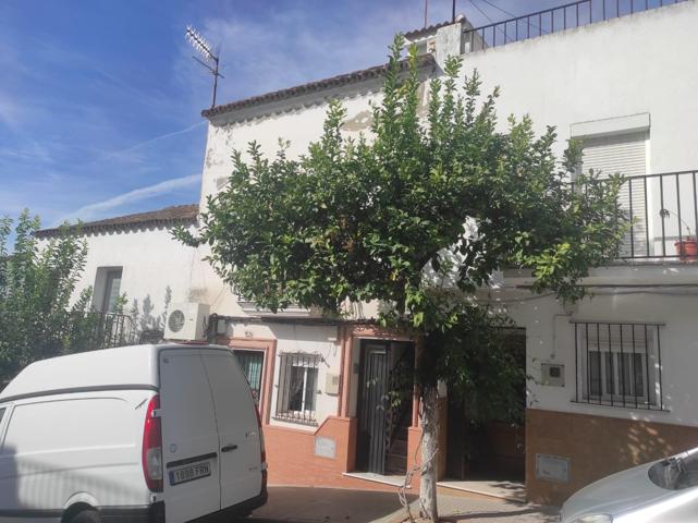 Piso duplex con dos terrazas en Prado del Rey, Sierra de Cádiz photo 0