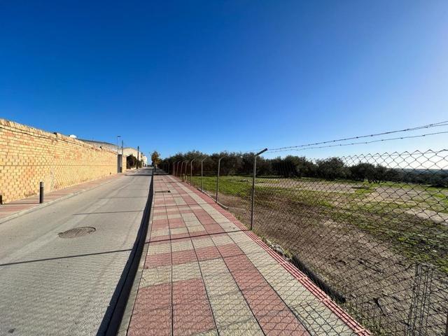 Venta de Suelo Urbano Residencial + 2 Fincas Rústicas en Pilas (Sevilla) photo 0