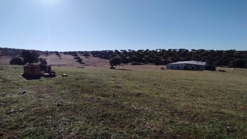 Terreno en Fuente Obejuna (Córdoba) photo 0