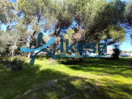 Venta de suelo urbano residencial en Cerro Muriano (Córdoba) photo 0