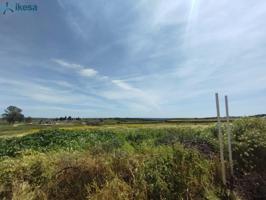 VENTA DE SUELO URBANIZABLE EN ALOSNO, HUELVA. photo 0