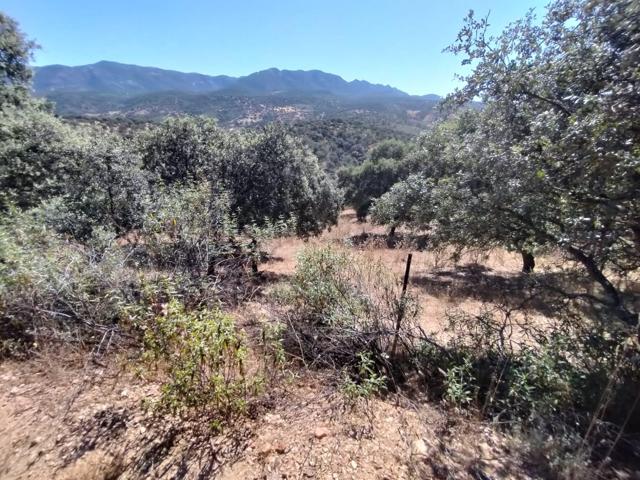 VENTA DE 3 TERRENOS EN FUENCALIENTE (CIUDAD REAL) photo 0