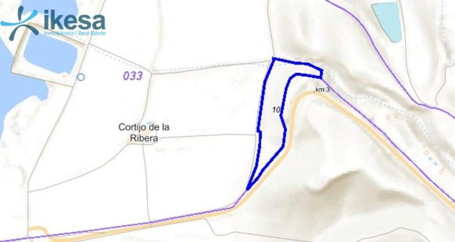 Venta de Finca Rústica 'Hormilleros' - Sanlúcar la Mayor (Sevilla) photo 0