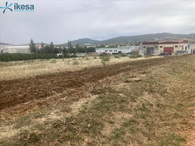 Venta de 13 Suelos Urbanizables Residenciales en Dehesa del Rey - Calamonte (Badajoz) photo 0