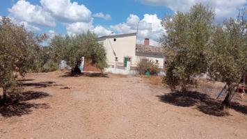Suelo rústico con vivienda en cesión de remate en polígono de Montoro (Córdoba) photo 0