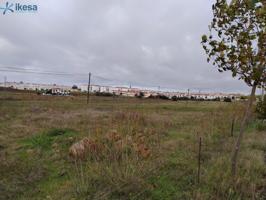 Venta de Finca Rústica en Olivenza (Badajoz) photo 0