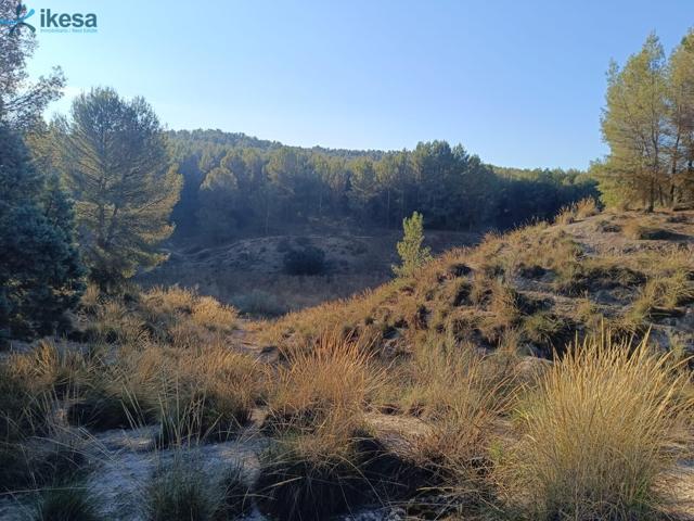 Venta de Finca Rústica en Santa Fé, Granada. photo 0