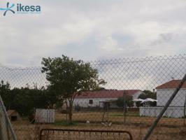 SUELO RUSTICO EN PEGUERILLAS ( CHAPARRAL) - CESION DE REMATE photo 0
