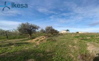 Terreno en venta en Olivares - Sevilla photo 0