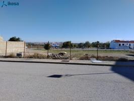 Venta de Suelo Urbano Residencial en Urbanización VICTIMAS DEL TERRORISMO - Azuaga (Badajoz) photo 0