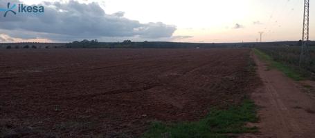 Venta de Finca Rústica en Paraje La Calera de los Barros - Badajoz photo 0