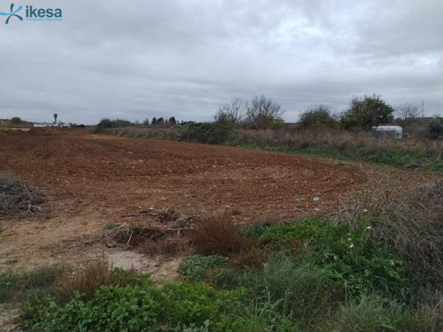 Venta de Finca Rústica en Polígono POLIGONO 15 Nº 119 Villalba de los Barros (Badajoz) photo 0