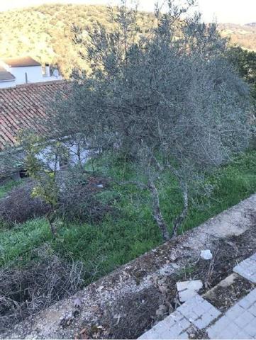 TERRENO URBANO EN VENTA EN EL BOSQUE – OPORTUNIDAD RESIDENCIAL photo 0