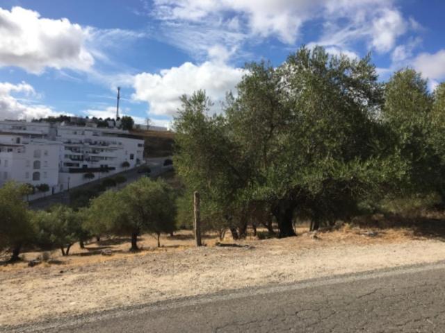TERRENO URBANIZABLE EN TRANSFORMACIÓN - ARCOS DE LA FRONTERA photo 0