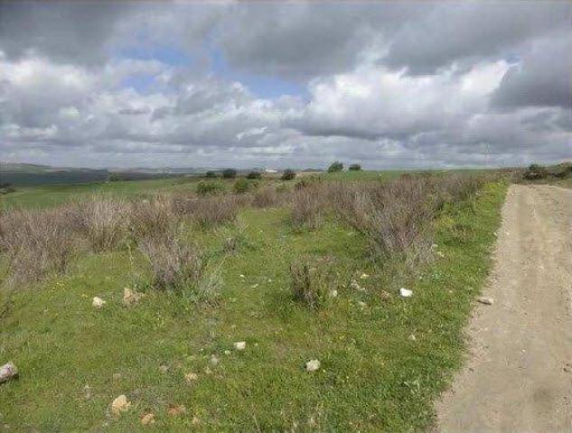 GRAN TERRENO URBANIZABLE EN TRANSFORMACIÓN – INVERSIÓN EN ARCOS DE LA FRONTERA photo 0
