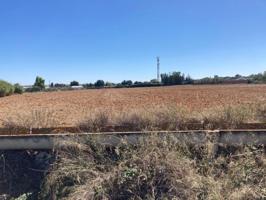 TERRENO URBANIZABLE EN TRANSFORMACIÓN – ABIERTAS DE CAULINA, JEREZ DE LA FRONTERA photo 0