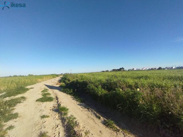 VENTA DE SUELO EN ALMONTE, HUELVA. photo 0