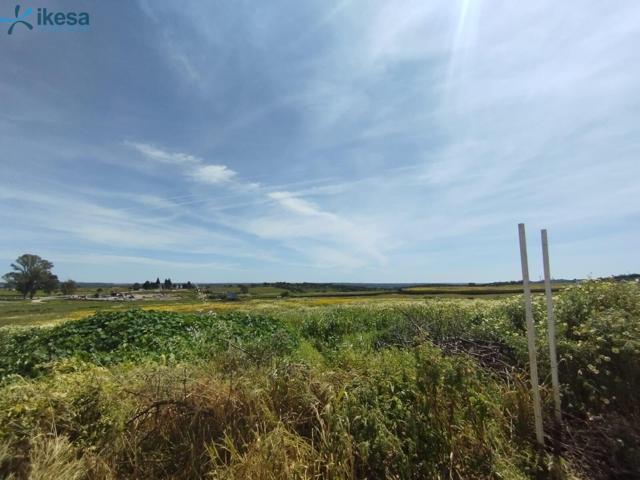VENTA DE SUELO URBANIZABLE EN ALOSNO, HUELVA. photo 0