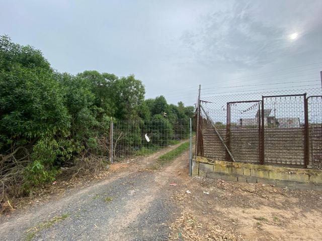 TERRENOS RÚSTICOS EN VENTA – LAS TRES PIEDRAS, CHIPIONA photo 0