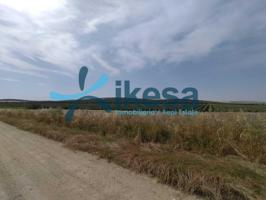 Terreno en Venta: Oportunidad Única en El Carpio – Maruanas - CESION DE REMATE. photo 0