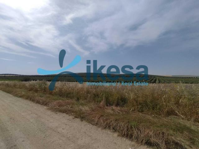 Terreno en Venta: Oportunidad Única en El Carpio – Maruanas - CESION DE REMATE. photo 0
