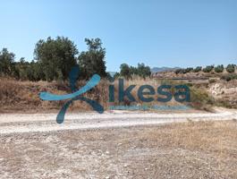 VENTA DE FINCA RÚSTICA EN JÓDAR (JAÉN) photo 0