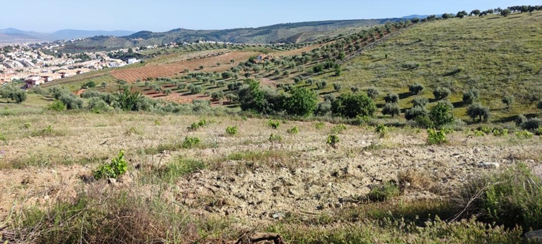 Piso En venta en Los Rebites, Huetor Vega photo 0