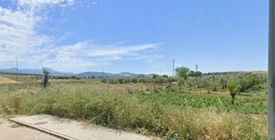 Oportunidad de Inversión: Terreno Rústico Agrario en Villamartín, Cádiz 🌾 photo 0