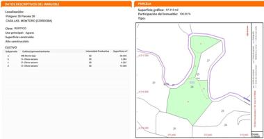 VENTA DE TERRENO EN MONTORO (CÓRDOBA) photo 0