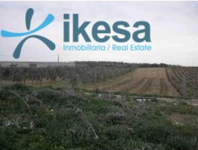 VENTA DE TERRENO URBANO NO CONSOLIDADO EN MANZANILLA, HUELVA photo 0