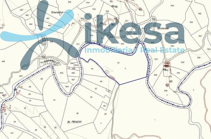 Venta de 3 Fincas Rústicas En Peñon, Málaga. photo 0