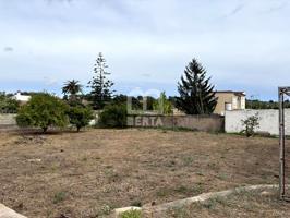 TERRENY CARRETERA ALCOVER photo 0