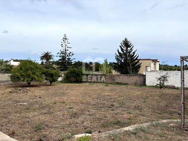 TERRENY CARRETERA ALCOVER photo 0