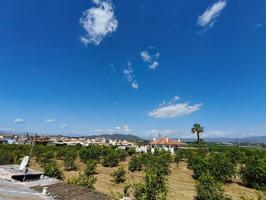 Disfruta del sol, el aire libre... ¡y tu propio huerto! photo 0