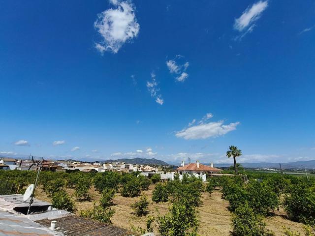 Disfruta del sol, el aire libre... ¡y tu propio huerto! photo 0