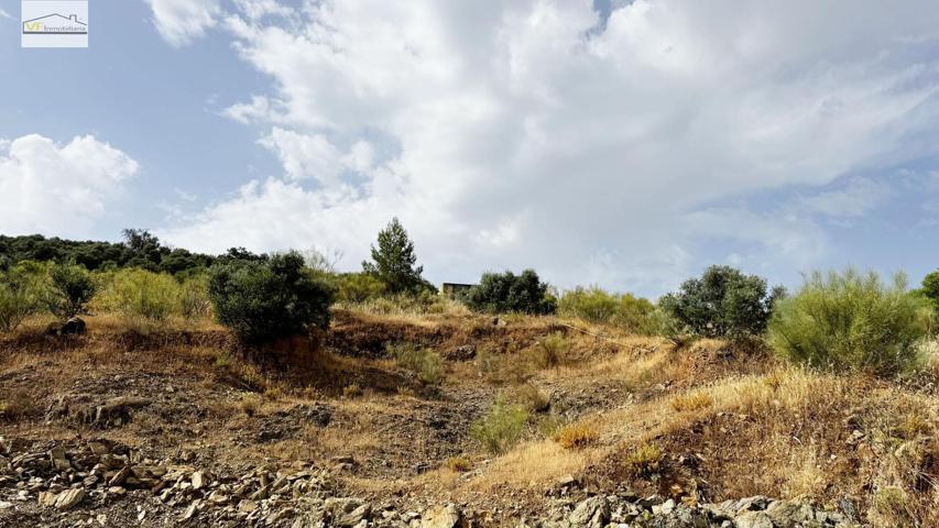 ¡Silencio, aire puro... y Málaga a 25 minutos! photo 0