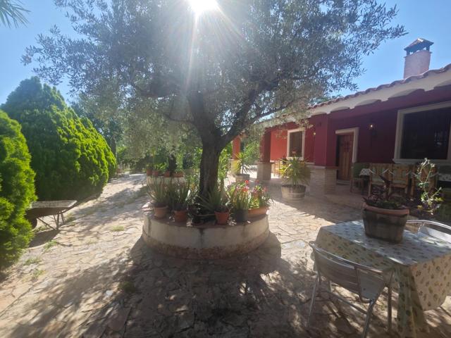 MAGNIFICA CASA DE HUERTA CON PARCELA photo 0
