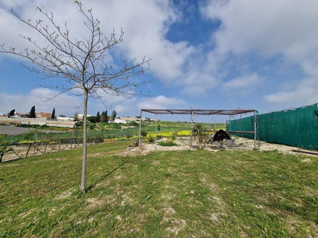 PARCELA RUSTICA EN LA ZONA DE MONTEOLIVETE photo 0