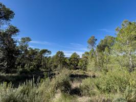 Terreno Urbanizable En venta en Sant Julià De Ramis photo 0