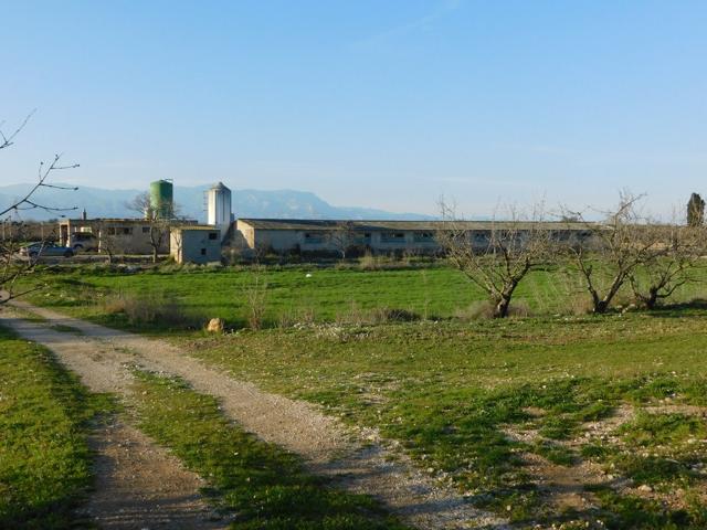 FINCA CON GRANJAS PORCINAS EN TERMINO DE GODALL photo 0