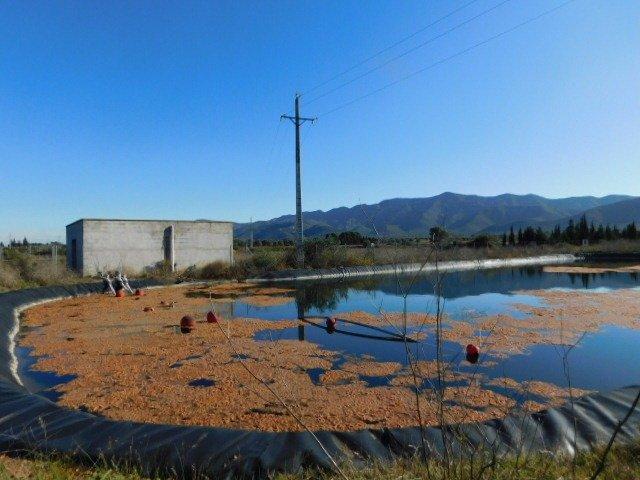 FINCA RUSTICA EN ULLDECONA photo 0