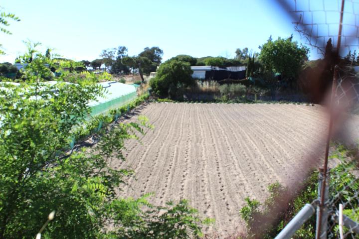 FINCA EN 'VETA LA SERRANA' photo 0