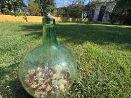 ATRACTIVA PARCELA RUSTICA DE 850 METROS CON CASA photo 0